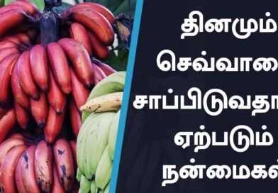 Benefits of Red Banana: வியக்க வைக்கும் செவ்வாழைப் பழத்தின் நன்மைகள்