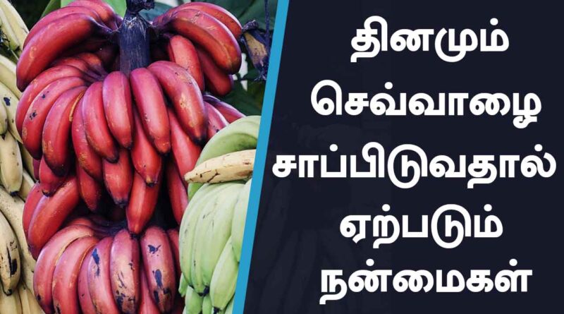 Benefits of Red Banana: வியக்க வைக்கும் செவ்வாழைப் பழத்தின் நன்மைகள்