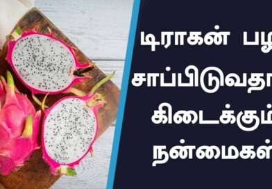 Benefits of Dragon Fruit : டிராகன் பழத்தின் நன்மைகள்